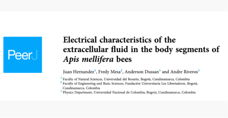 Ver noticia completa